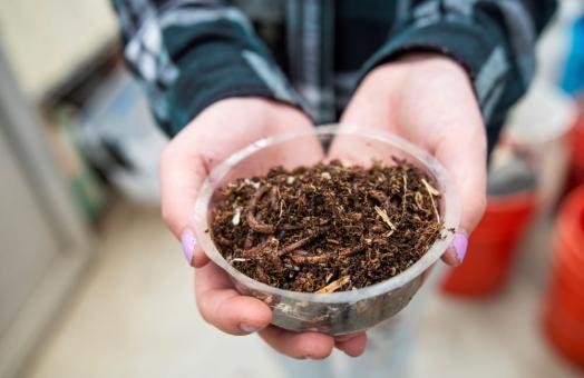 A photo of a person holding a bowl of dirt/compost with worms. 